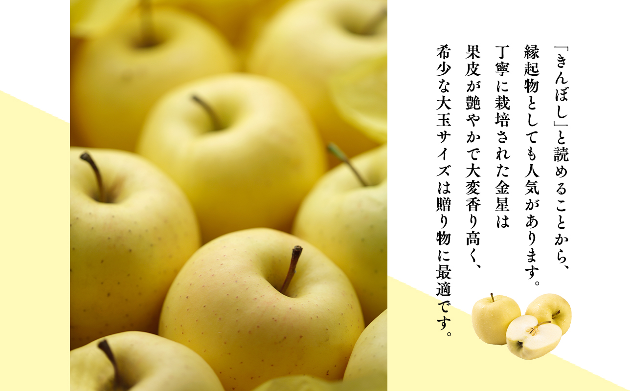 年明け 贈答規格 広船の大玉金星約3kg「特A」【広船アップルクラブ　平川市広船産　青森りんご　1月　2月】1月30日申込締め切り