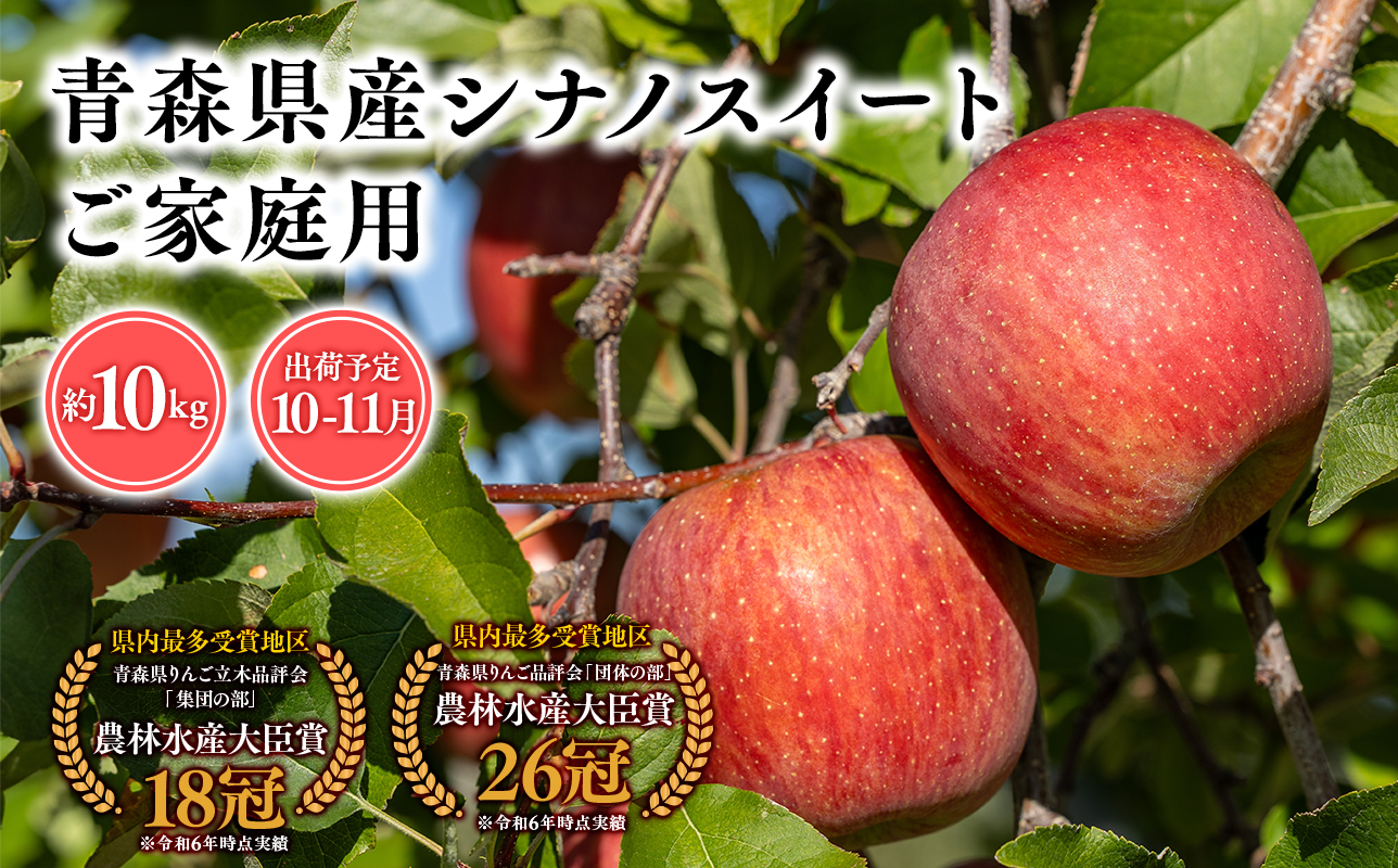 2025年産１０月・１１月発送　【訳あり】家庭用シナノスイート10ｋｇ　【そと川りんご園・１０月・１１月・青森県産・平川市・りんご・シナノスイート・10ｋｇ・訳あり・家庭用】