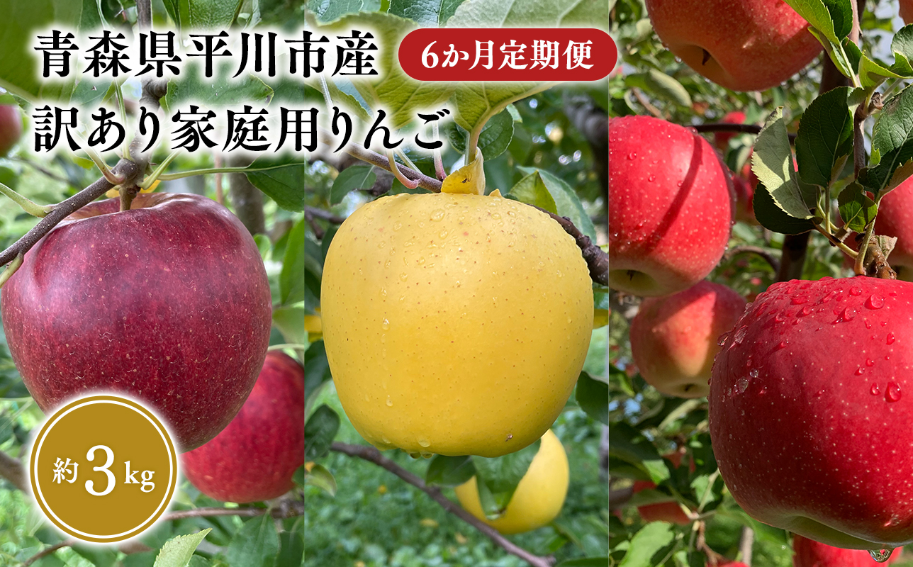 8月下旬〜発送　 訳あり家庭用りんご 6か月定期便約3kg【なるみ農園・青森りんご・平川市産・定期便・数量限定】