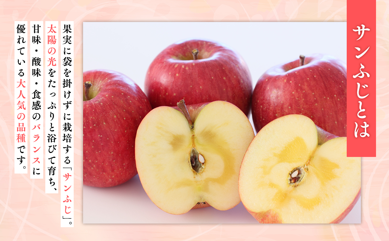 4月発送 【特選】サンふじ5ｋｇ【りんご・青森・平川・特選・宮川商店・11月・12月・1月・2月・3月・4月】