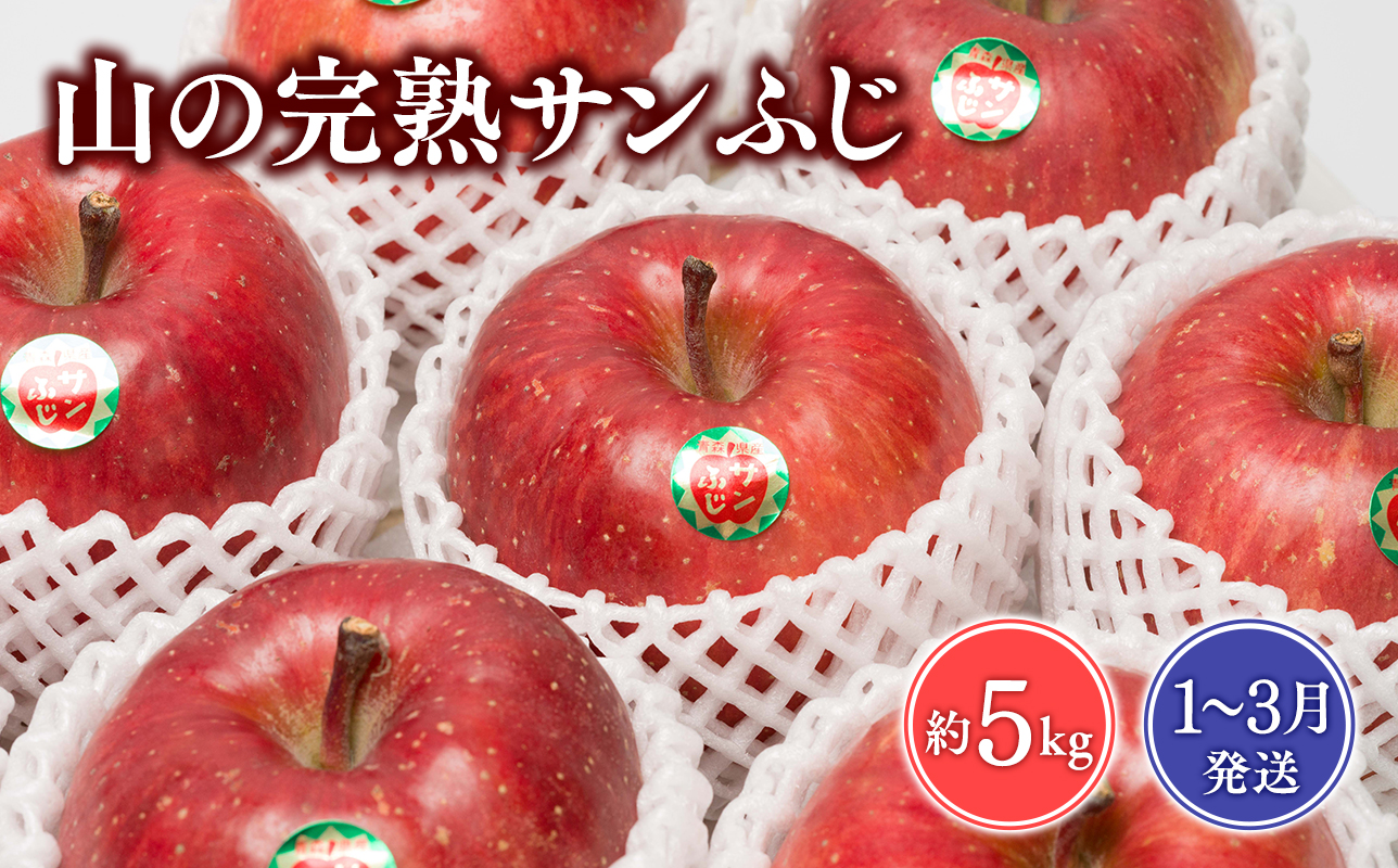 【2026年1~3月発送】 吹田りんご園 山の完熟サンふじ約5kg 【吹田りんご園・青森りんご・平川市広船産・1月・2月・3月】