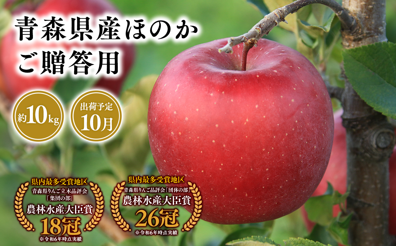 2025年産１０月発送　贈答用ほのか10ｋｇ　【そと川りんご園・１０月・青森県産・平川市・りんご・ほのか・10ｋｇ・贈答用】