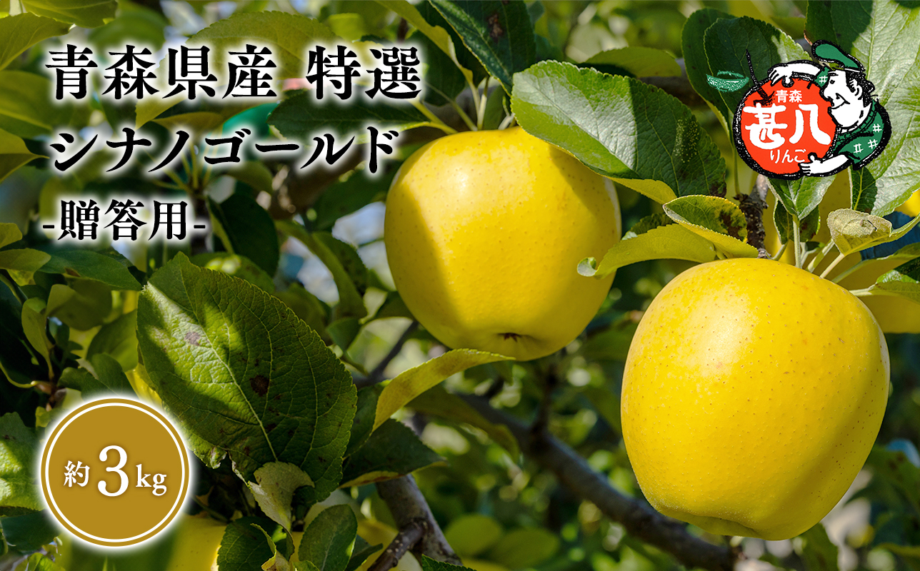 ６月発送　特選　甚八りんごシナノゴールド３kg　【マルジンサンアップル　6月　青森県産　平川市　りんご　シナノゴールド　3kg　特選　贈答用】