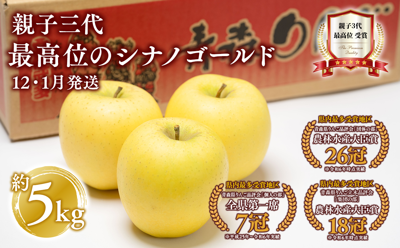 【12月・1月発送】 親子三代最高位のシナノゴールド約5kg【全国ふじコンテスト最高賞受賞農園・平川市広船産りんご】
