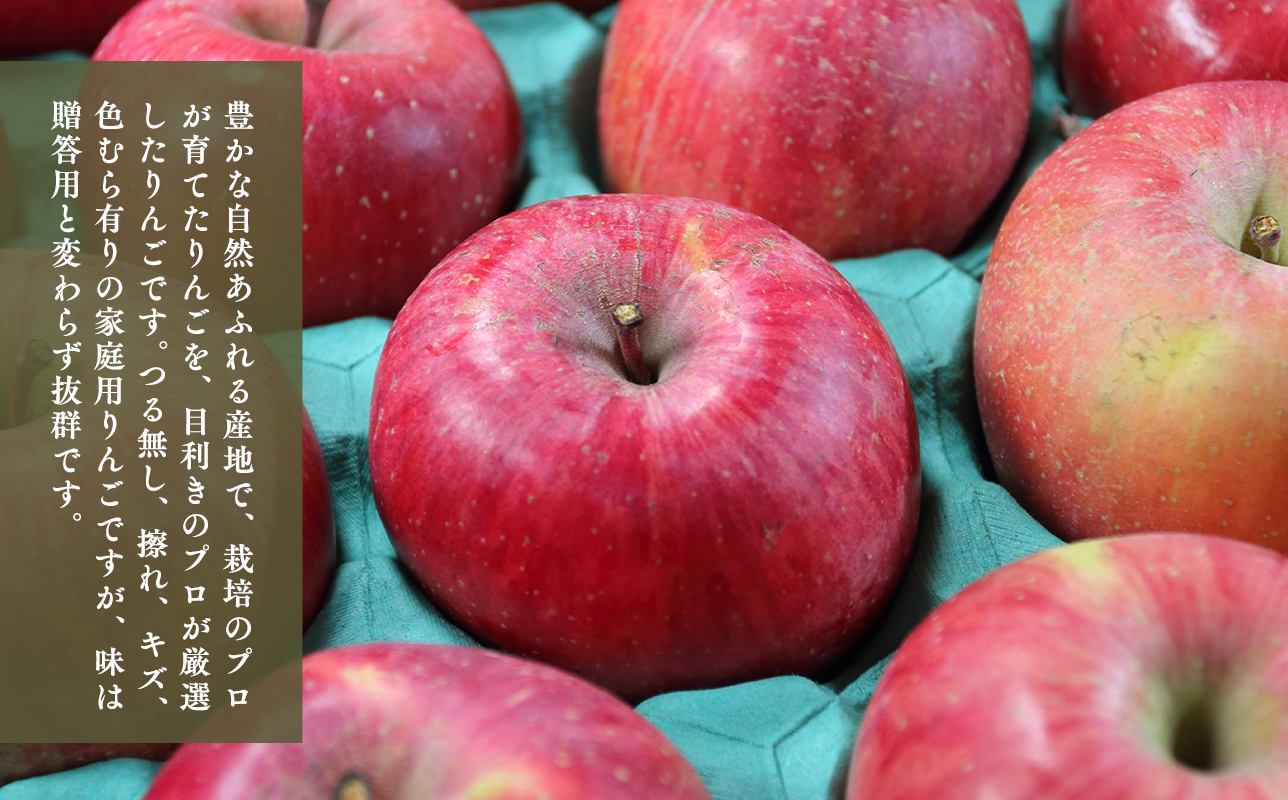 ã5æçºééå§ãéæé
éãå®æäŸ¿ïŒåãèš³ãããå®¶åºçšãçå
«ãããã5kgãã鿣®ç å¹³å·åž ãã«ãžã³ãµã³ã¢ããã«ã1æ 3æ 5æ 7æ 9æ 11æ 鿣® 鿣®çç£ å¹³å· ããã ãªã³ãŽ ææª ãã ãã® æç© ãã«ãŒã