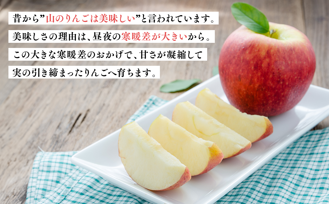 12月 100年の歴史 贈答規格サンふじ 約5kg【田中農園・青森県平川市産・青森りんご】