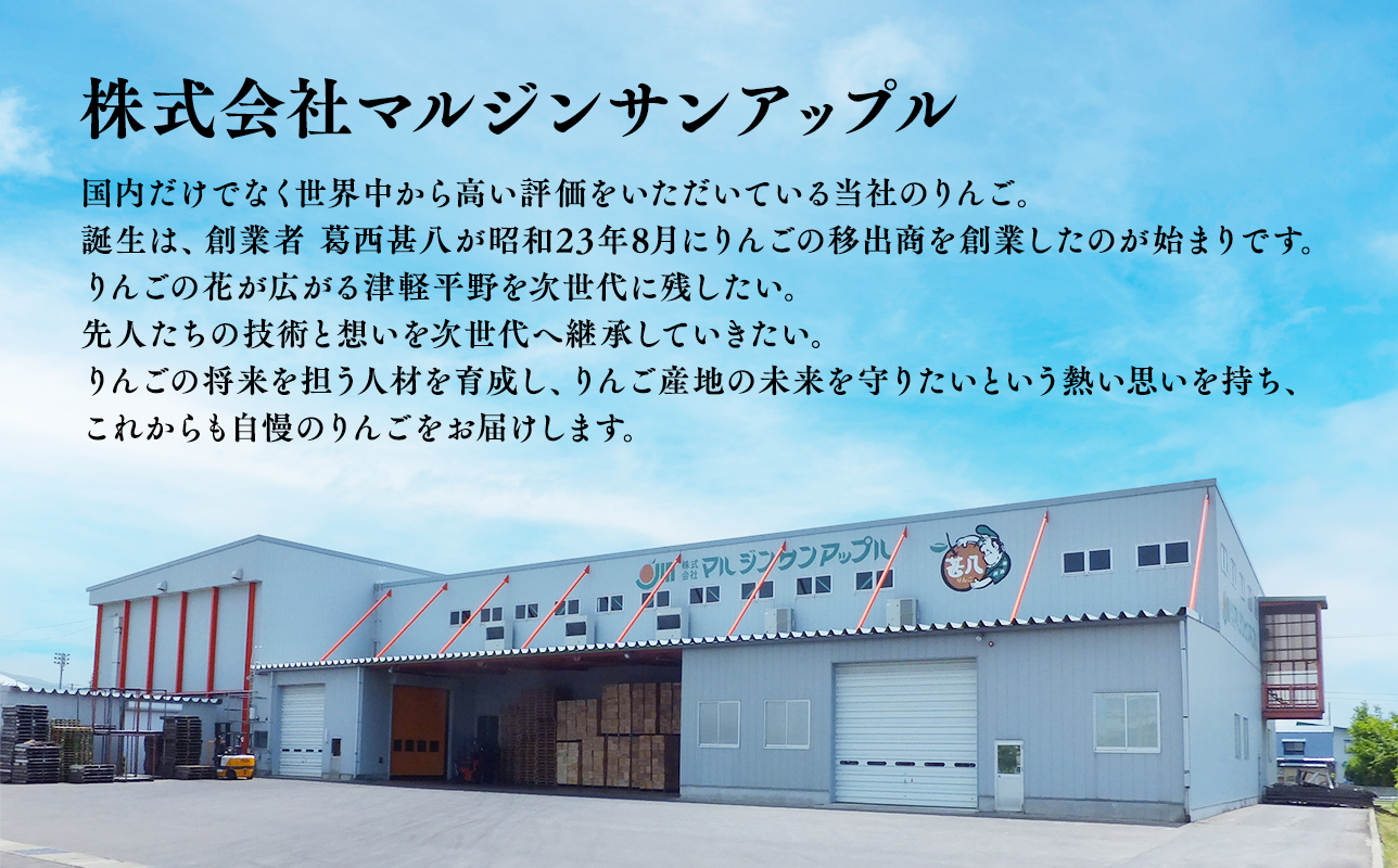 【7月発送開始】隔月配送　定期便3回　特選　甚八りんご　５kg　【青森県 平川市 マルジンサンアップル】1月 3月 5月 7月 9月 11月贈答用 青森 青森県産 平川 りんご リンゴ 林檎 くだもの 果物 フルーツ[hi-0058-111-2025]