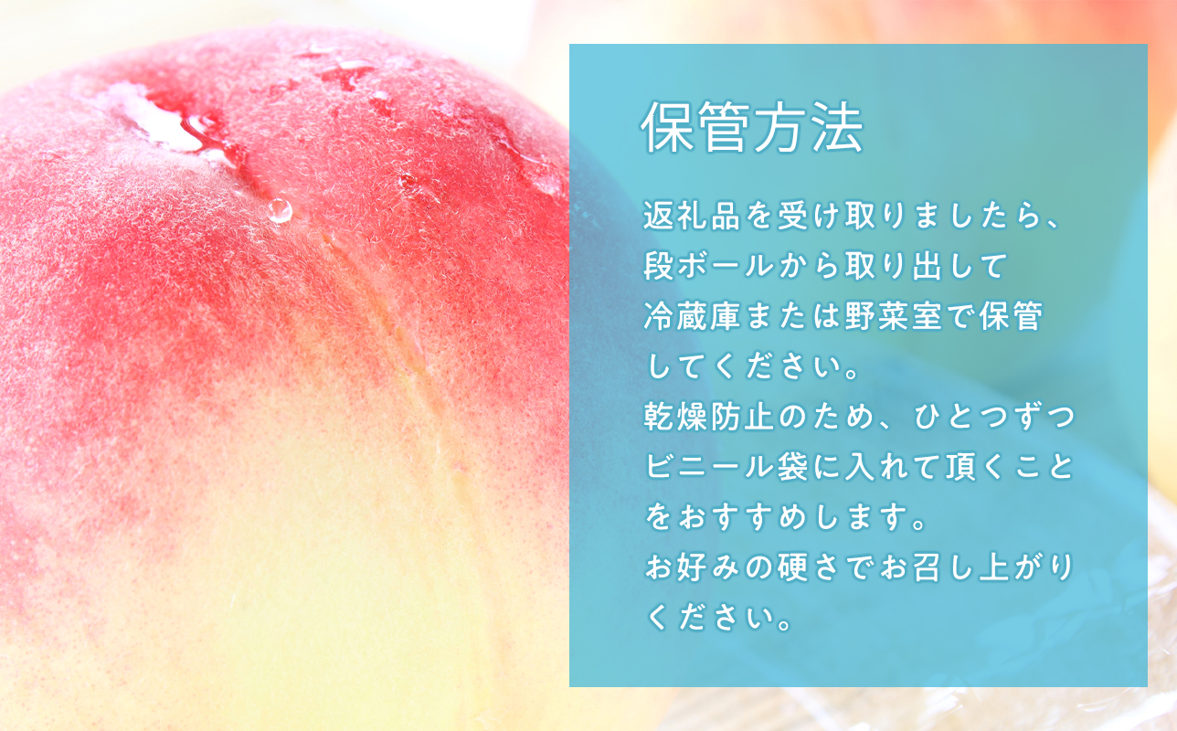 【8月下旬〜９月中旬発送予定】津軽の桃　川中島白桃約5kg