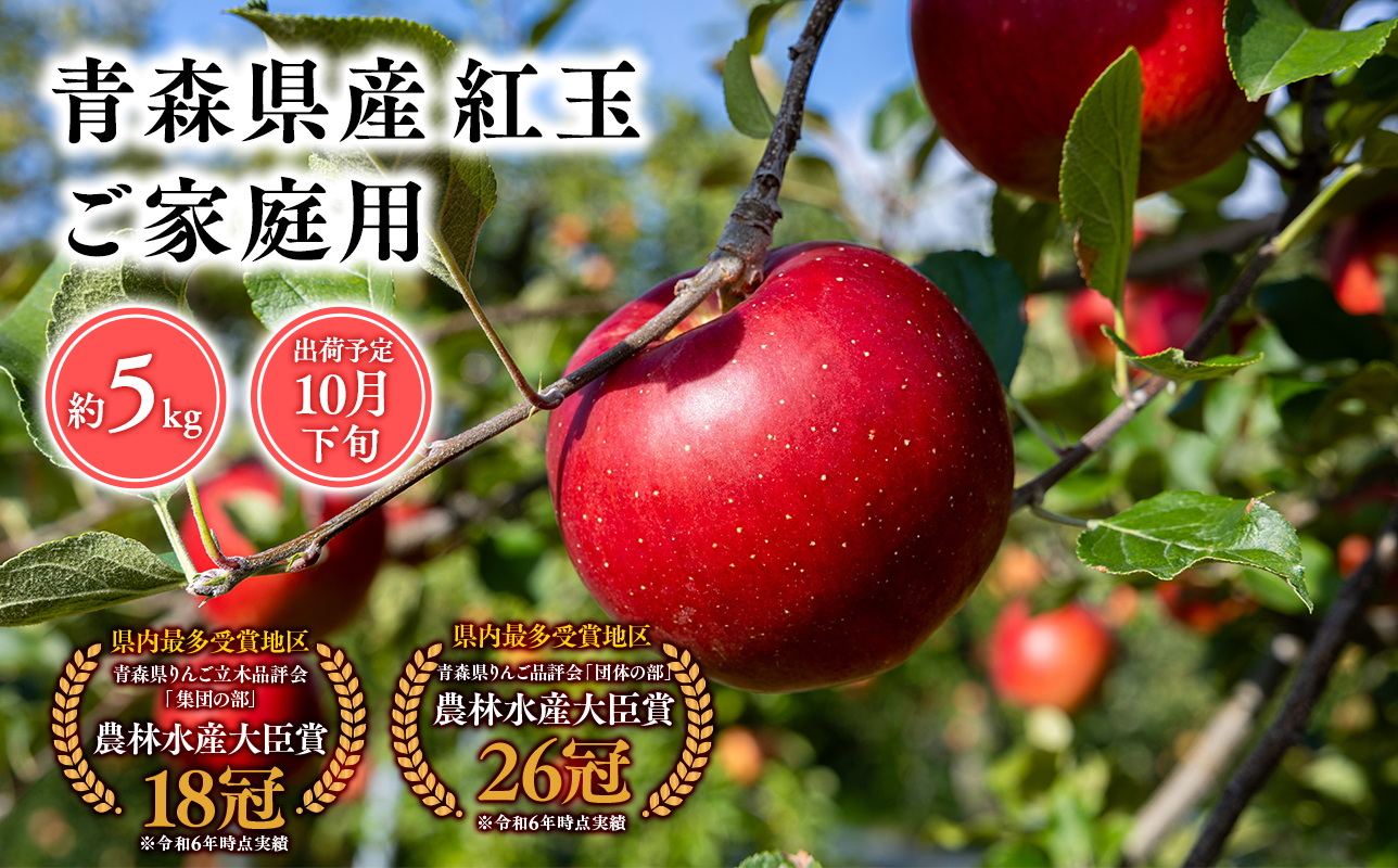 2025年産１０月発送　【訳あり】家庭用紅玉5ｋｇ　【そと川りんご園・１０月・青森県産・平川市・りんご・紅玉・5ｋｇ・訳あり・家庭用】