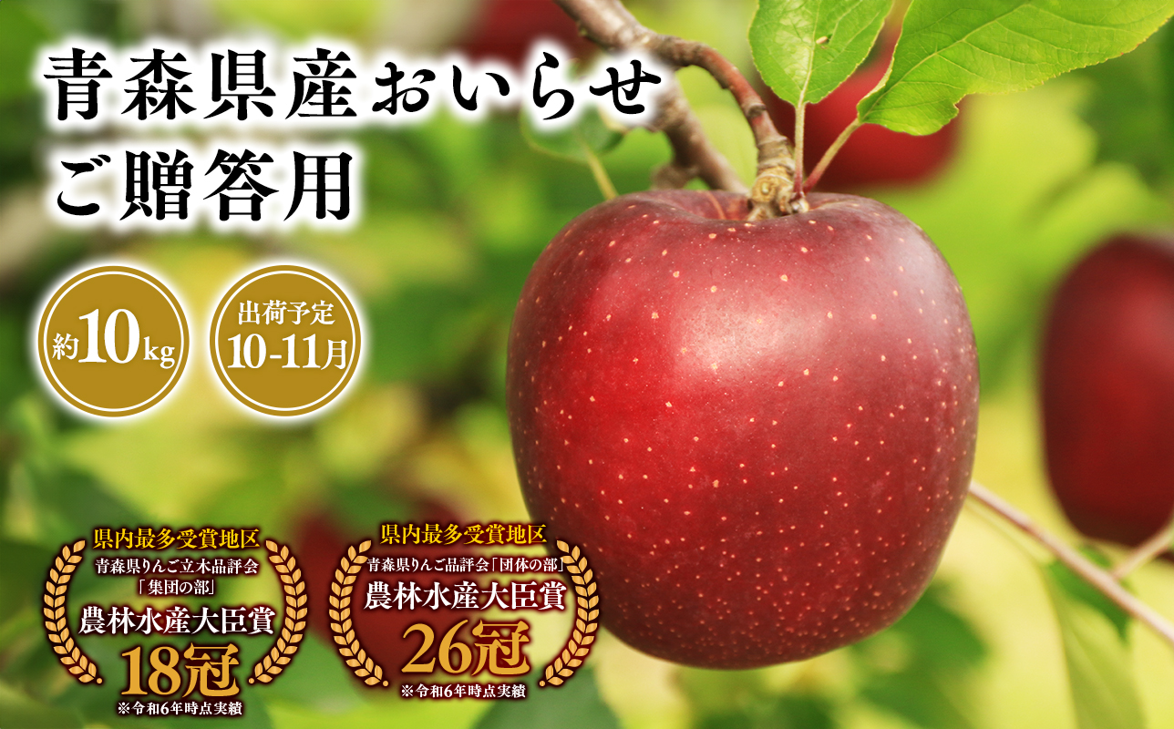 2025年産１０月・１１月発送　贈答用おいらせ10ｋｇ　【そと川りんご園・１０月・１１月・青森県産・平川市・りんご・おいらせ・10ｋｇ・贈答用】