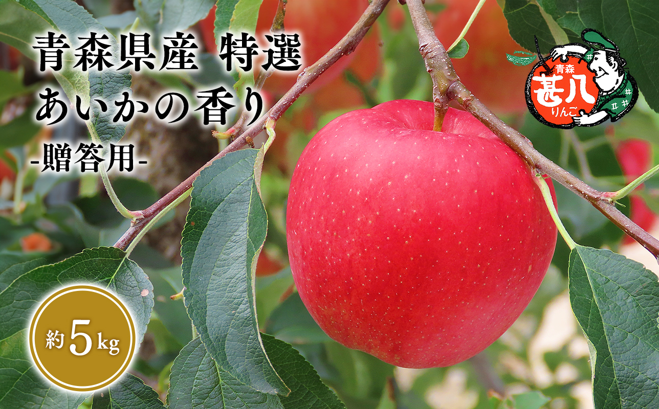 １２月発送　特選　甚八りんごあいかの香り５kg　【青森県 平川市 マルジンサンアップル】１２月発送 青森 青森県産 平川 りんご リンゴ 林檎 くだもの 果物 フルーツ