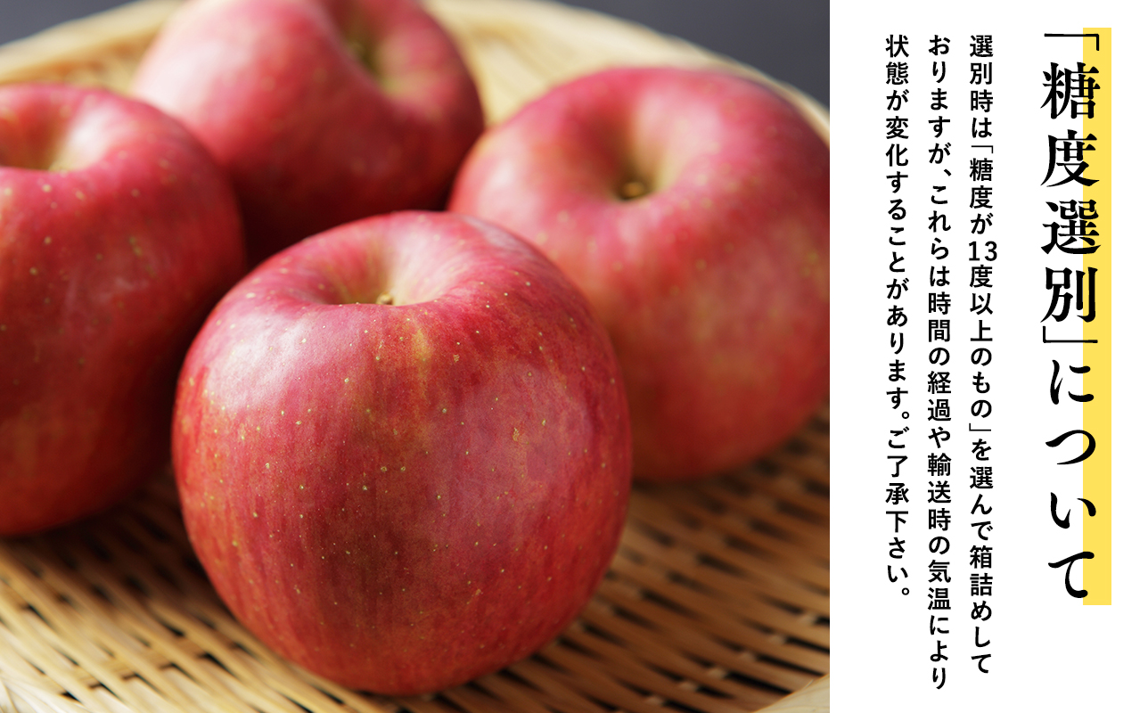 年明け 糖度選別サンふじ約5kg 【JA津軽みらい・平川市産・青森りんご・1月・2月】