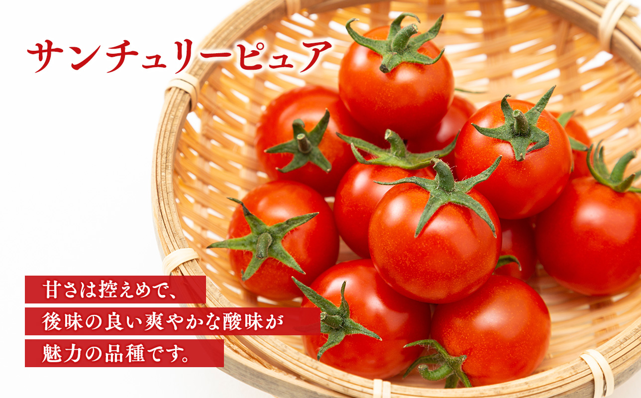 無添加 プレミアムトマトジュース 720ml×1本