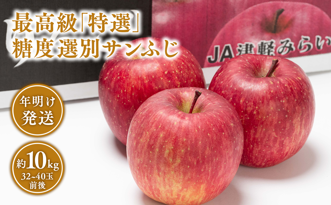 年明け 最高級「特選」  糖度選別サンふじ約10kg 【JA津軽みらい・平川市産・青森りんご・1月・2月】