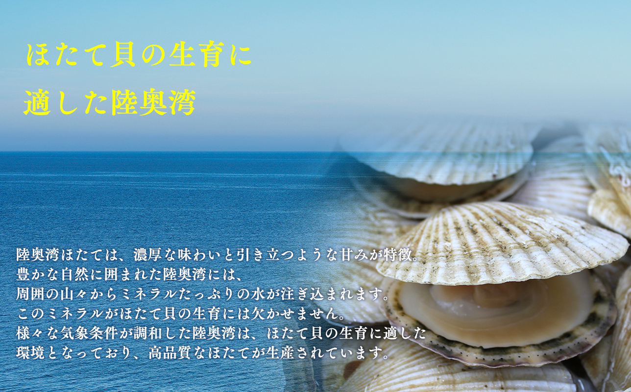 ほたて醤油500ml×1本