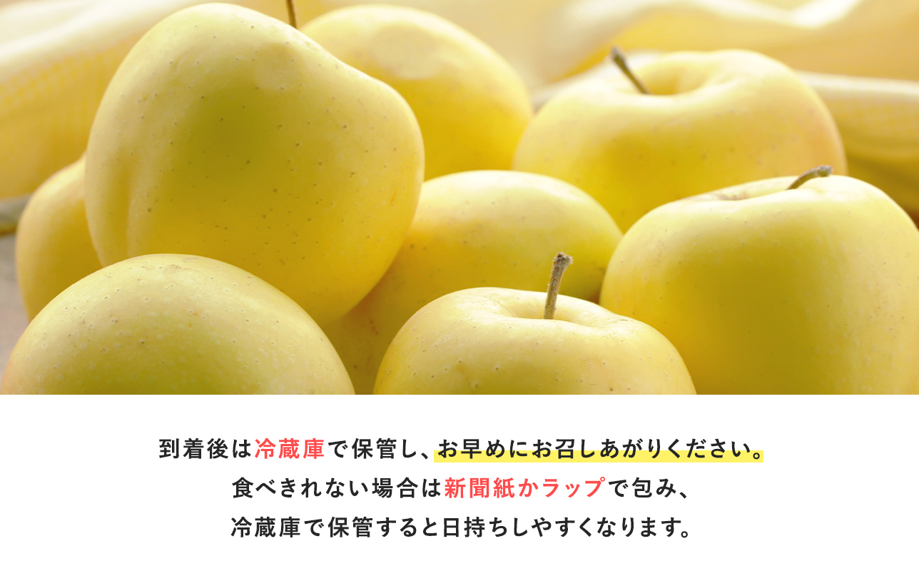 年明け 贈答規格 広船の大玉金星約3kg「特A」【広船アップルクラブ　平川市広船産　青森りんご　1月　2月】1月30日申込締め切り