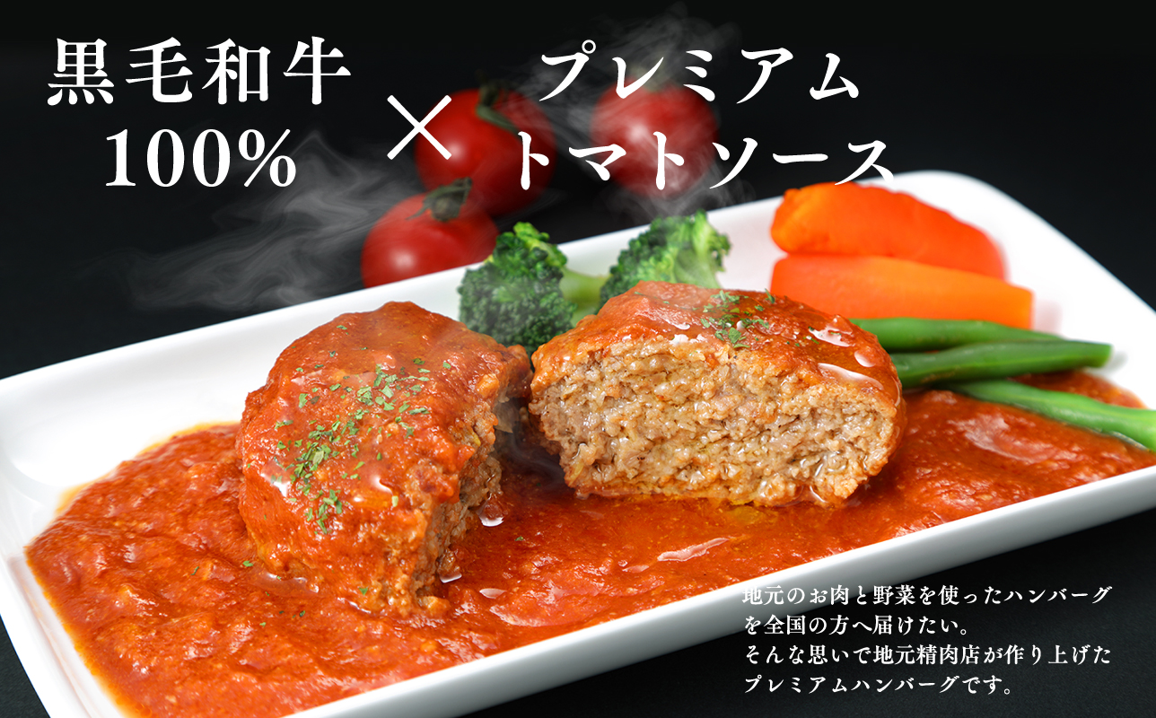 トマト煮込みハンバーグ160g×5 【平川市産原料使用】