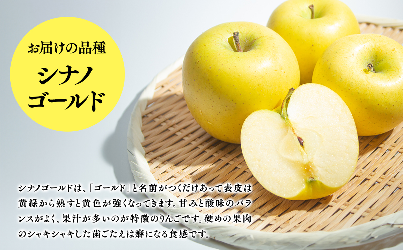 ６月発送　訳あり　家庭用　甚八りんごシナノゴールド３kg　【マルジンサンアップル　6月　青森県産　平川市　りんご　シナノゴールド　3kg　訳あり　家庭用】