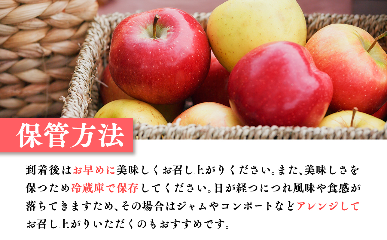 2月発送 【特選】サンふじ10kg【りんご・青森・平川・特選・宮川商店・11月・12月・1月・2月・3月・4月】