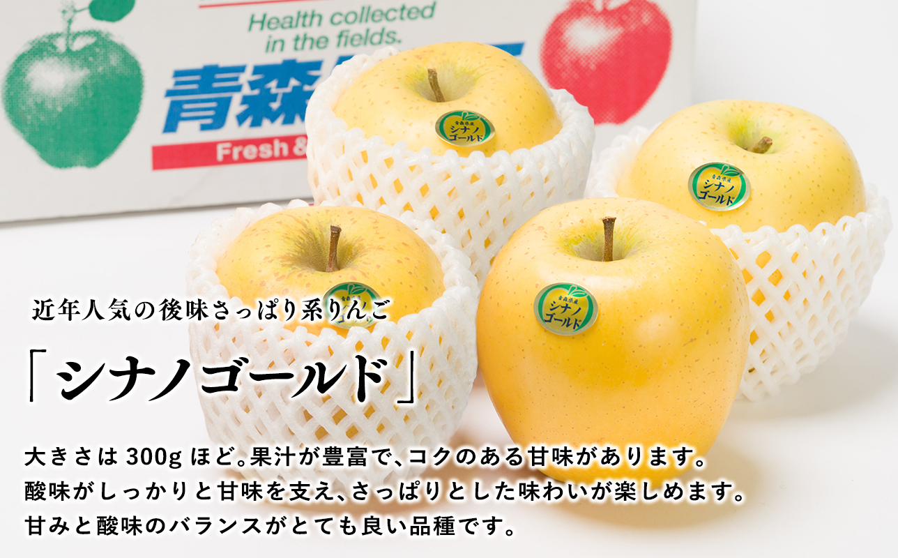 【2026年1~3月発送】 吹田りんご園 山の完熟サンふじ・シナノゴールド約3kg 【吹田りんご園・青森りんご・平川市広船産・1月・2月・3月】