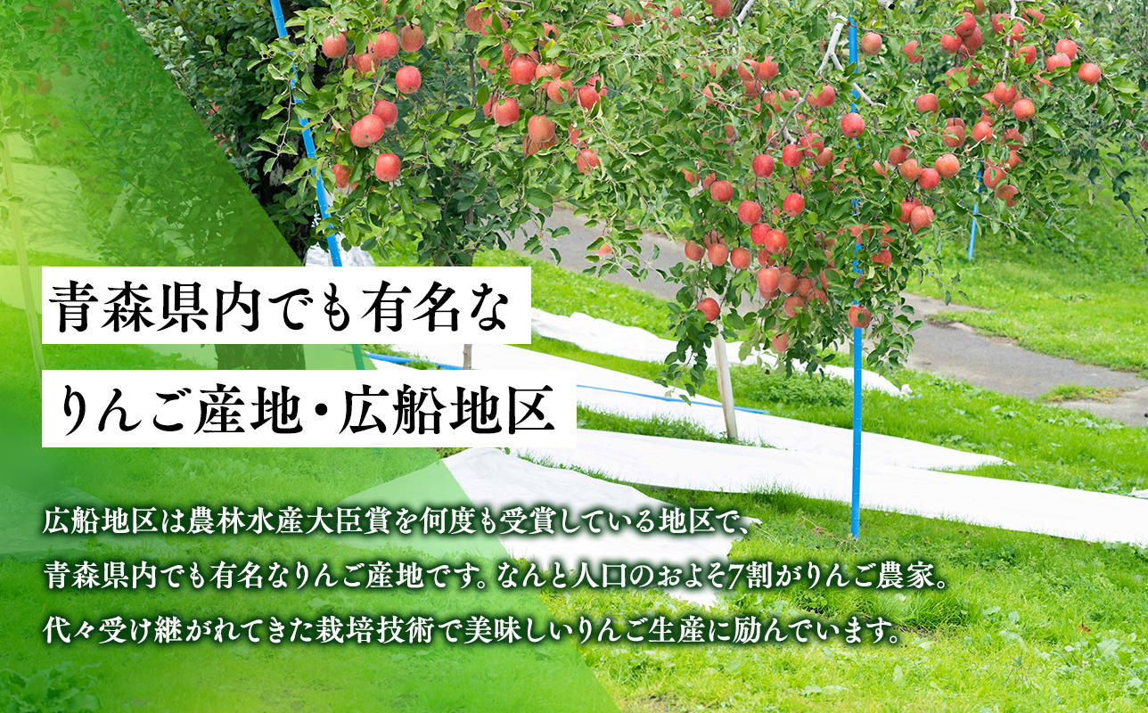 年明け 贈答規格 広船の大玉金星約3kg「特A」【広船アップルクラブ　平川市広船産　青森りんご　1月　2月】1月30日申込締め切り
