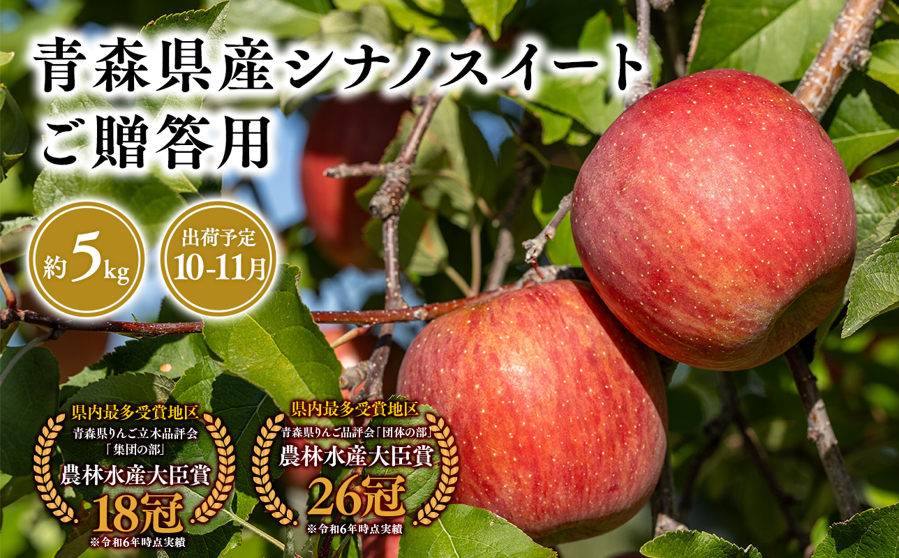 2025年産１０月・１１月発送　贈答用シナノスイート5ｋｇ　【そと川りんご園・１０月・１１月・青森県産・平川市・りんご・シナノスイート・5ｋｇ・贈答用】