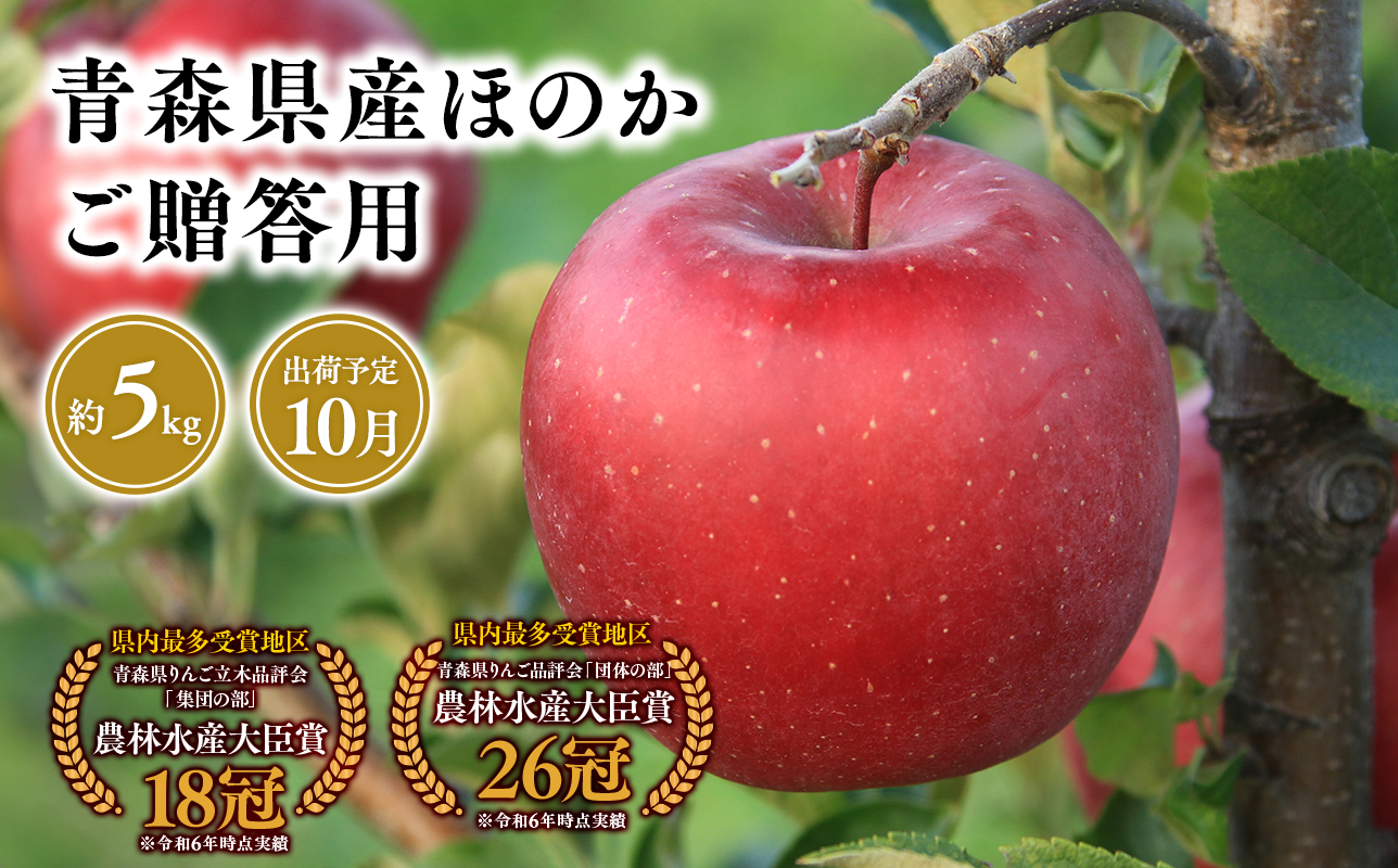 2025年産１０月発送　贈答用ほのか5ｋｇ　【そと川りんご園・１０月・青森県産・平川市・りんご・ほのか・5ｋｇ・贈答用】