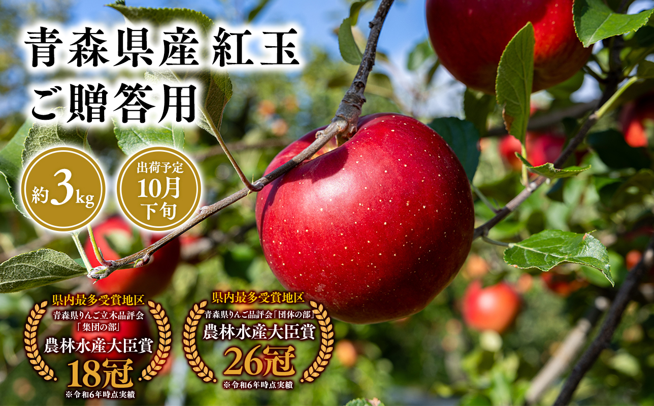 2025年産１０月発送　贈答用紅玉3ｋｇ　【そと川りんご園・１０月・青森県産・平川市・りんご・紅玉・3ｋｇ・贈答用】