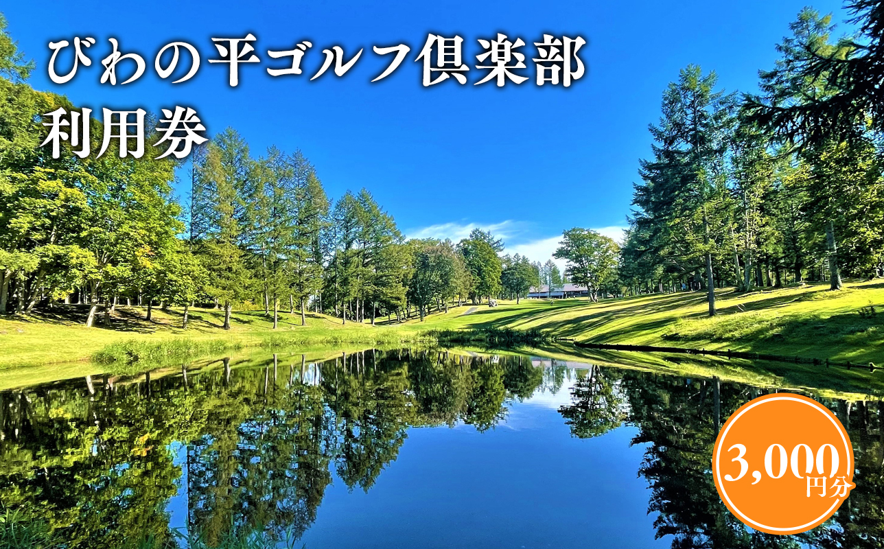 びわの平ゴルフ倶楽部利用券3，000円