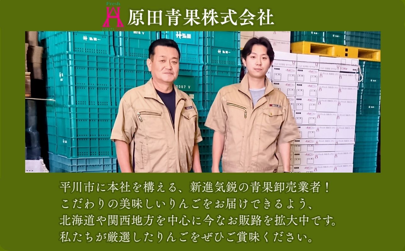 5月 クール便発送【訳あり】家庭用サンふじ約2kg