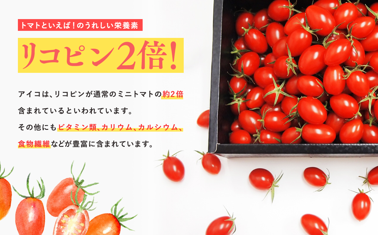 再生可能エネルギー生まれ 高糖度ミニトマトジュース500ml×3本