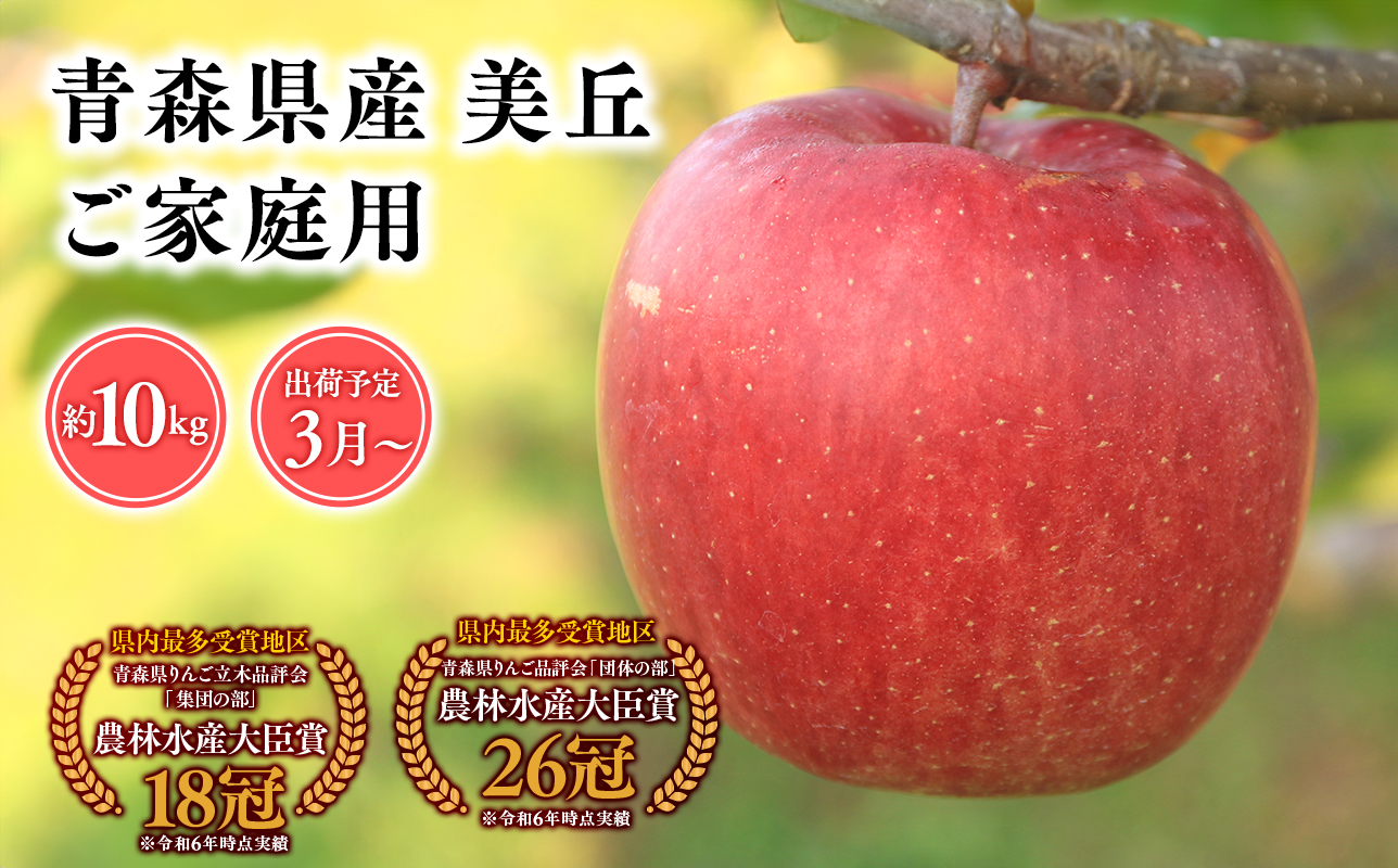 2025年産３月発送　【訳あり】家庭用美丘10kg【青森県 平川市 そと川りんご園】３月発送 家庭用 りんご リンゴ 林檎 くだもの 果物 詰め合わせ 旬 フルーツ ３月 青森県産 青森 