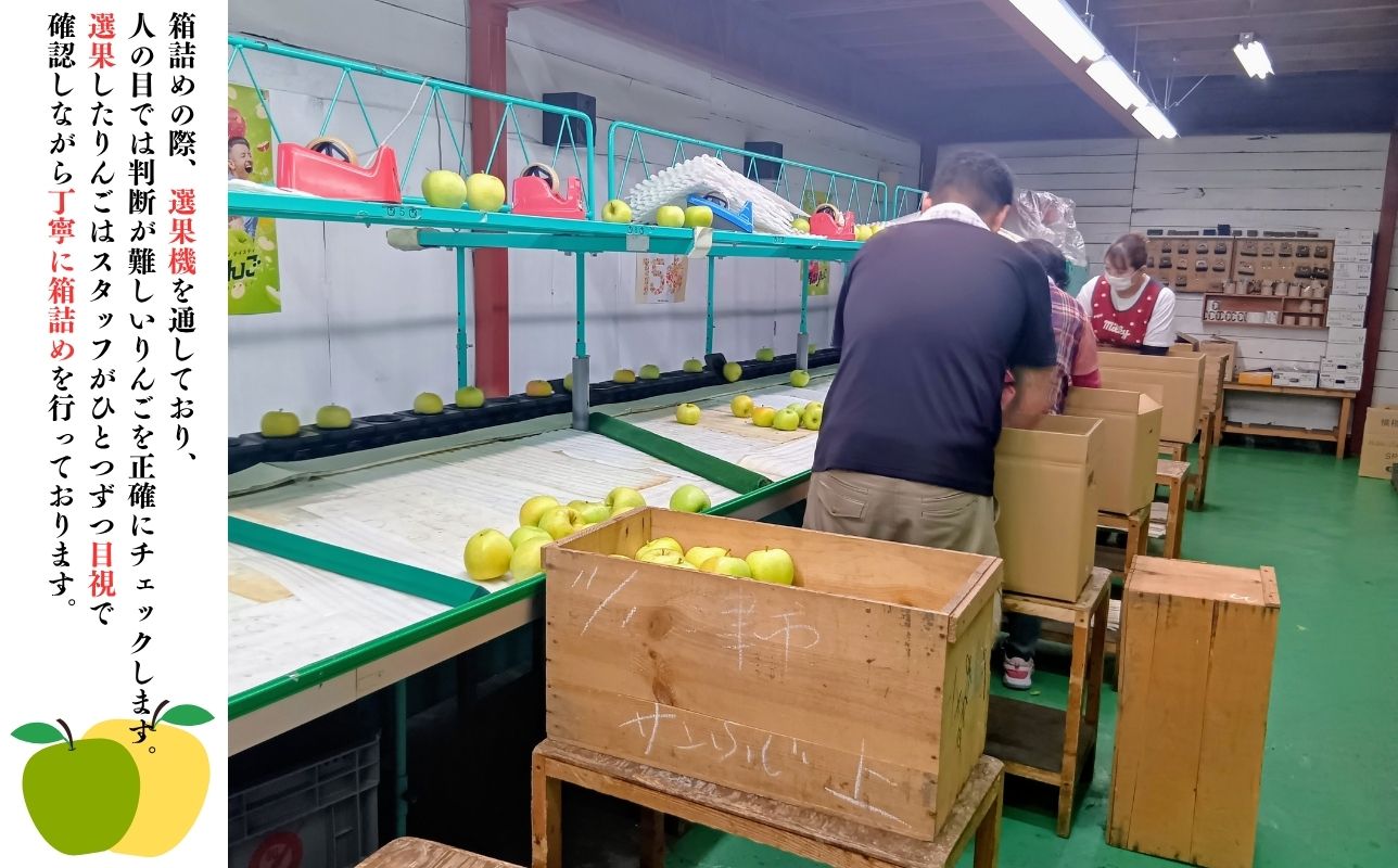 6æ ã¯ãŒã«äŸ¿çºéãèš³ãããå®¶åºçšæè¢ãµãçŽ2kg