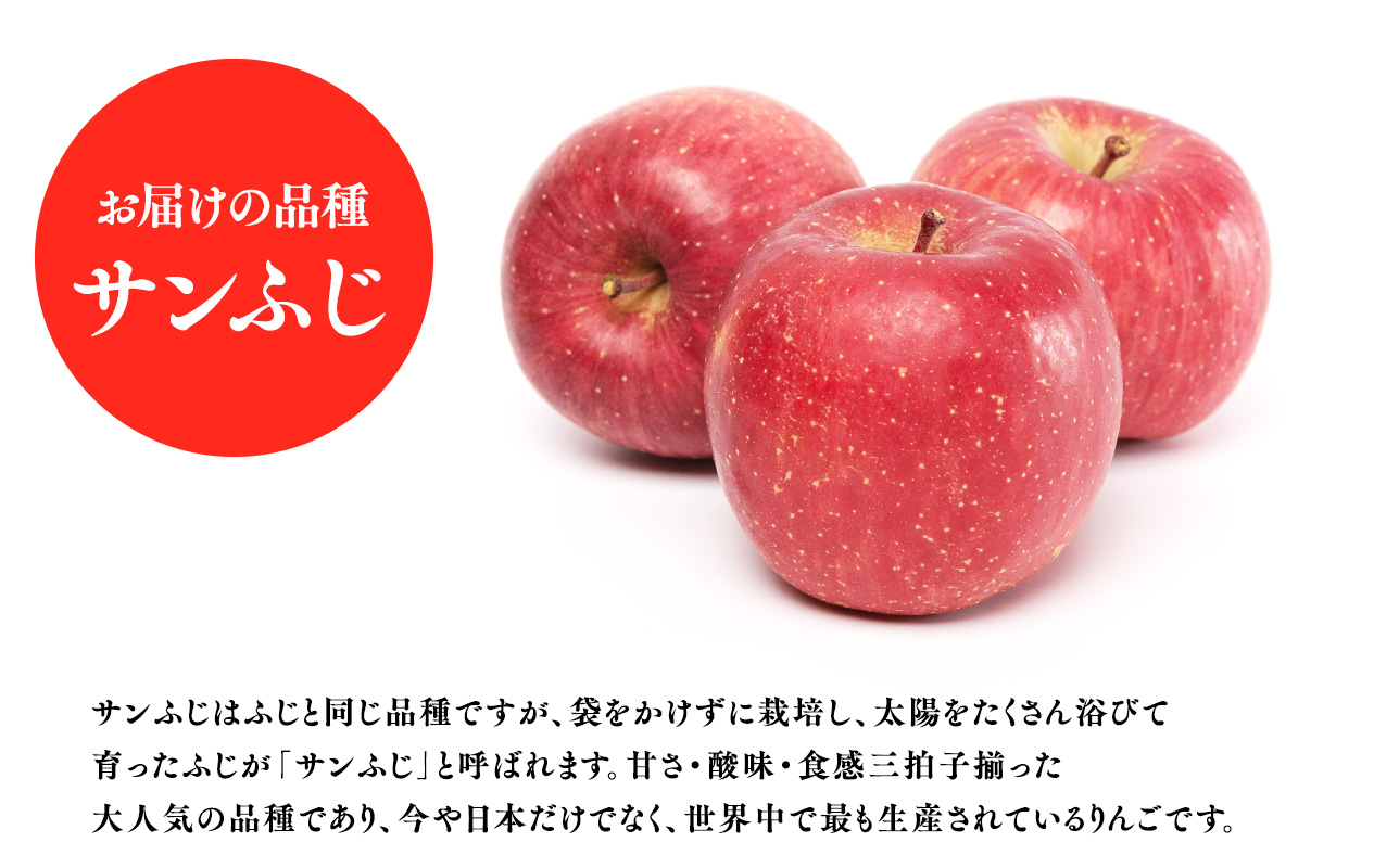 ４月発送　特選　甚八りんごサンふじ３kg　【青森県 平川市 マルジンサンアップル】４月発送 青森 青森県産 平川 りんご リンゴ 林檎 くだもの 果物 フルーツ