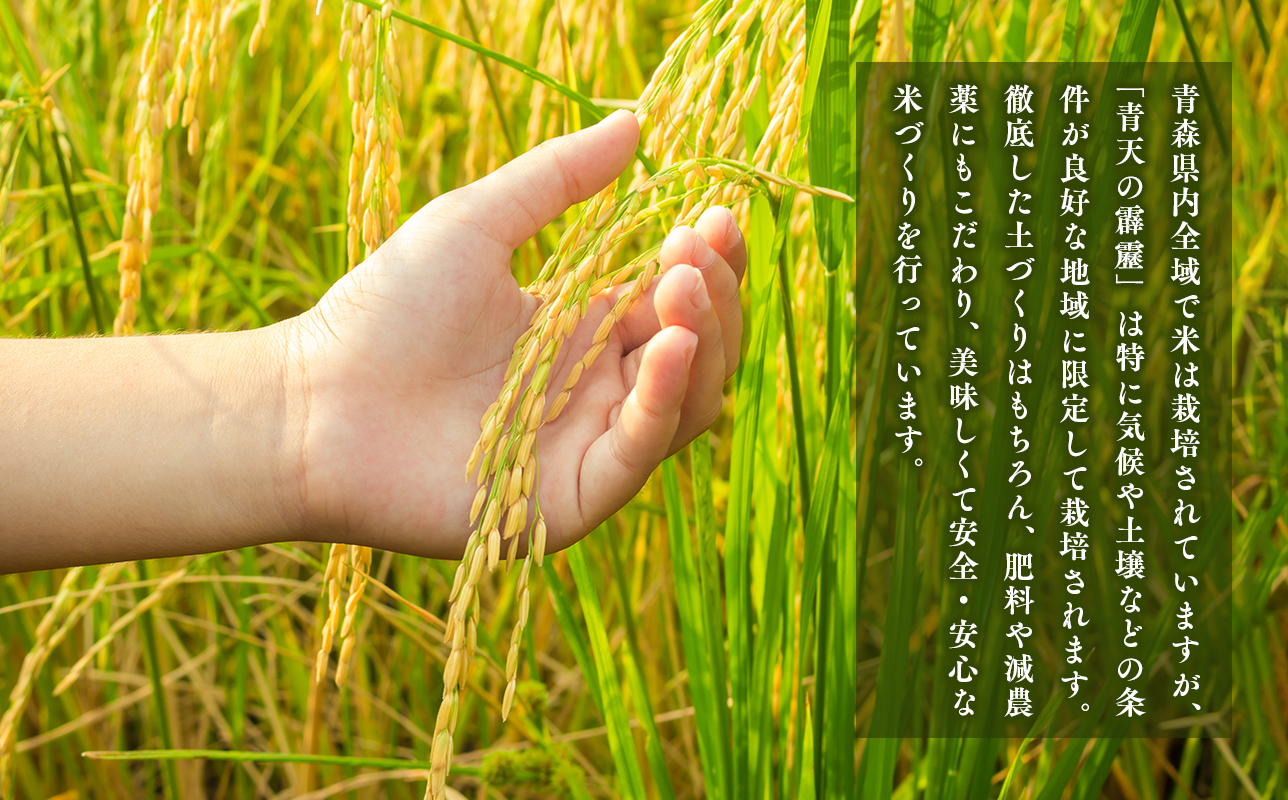 莉、蜥7蟷エ逕」 髱貞、ゥ縺ョ髴ケ髱5kg