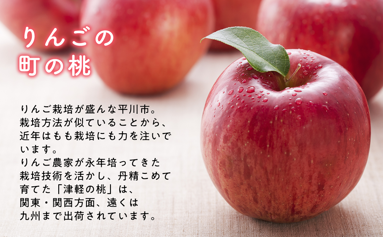 【8月下旬〜９月中旬発送予定】津軽の桃　川中島白桃約5kg