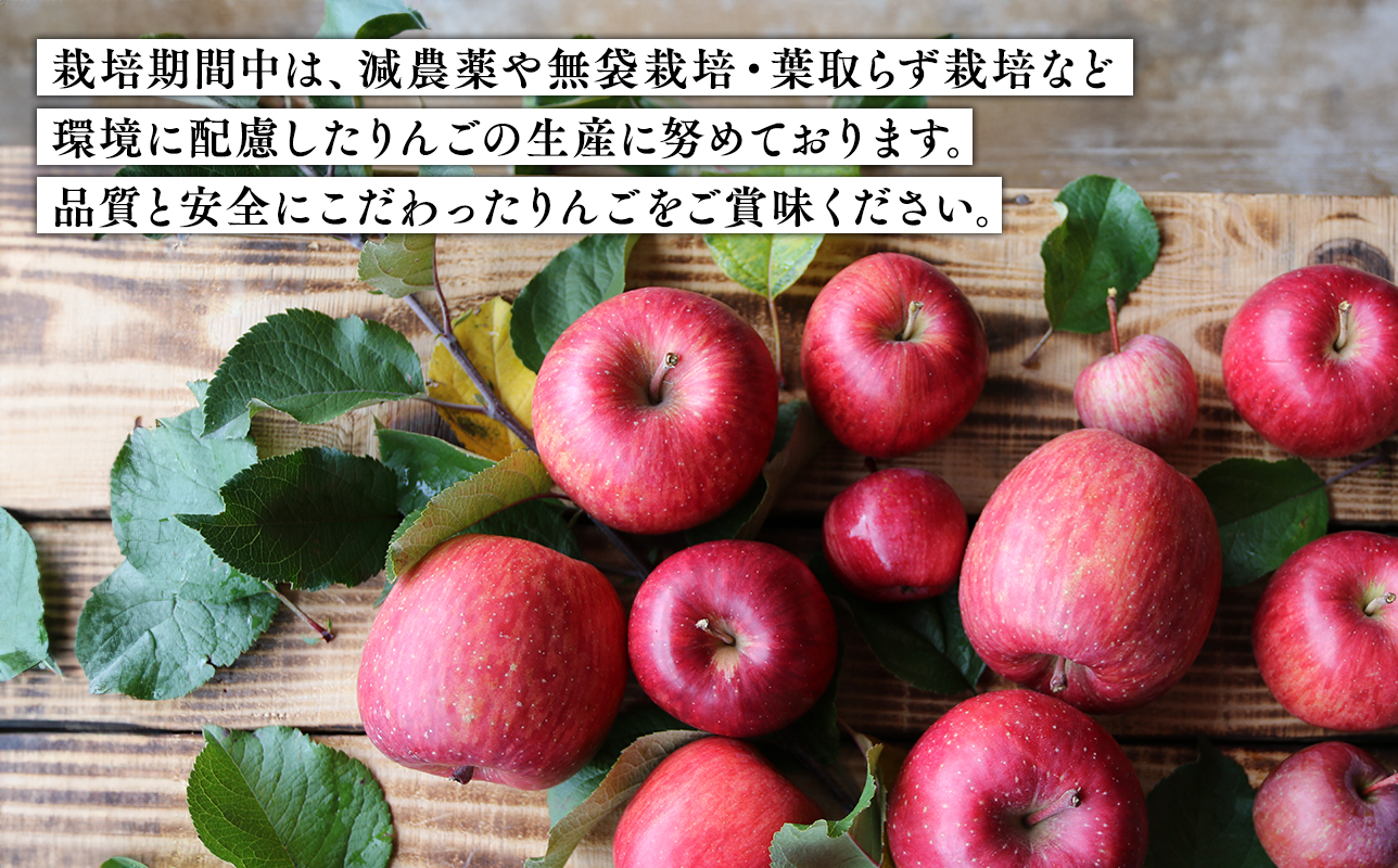 2025年産 １月〜４月発送　贈答用シナノゴールド3ｋｇ　【そと川りんご園・１月・２月・３月・４月・青森県産・平川市・りんご・シナノゴールド・3ｋｇ・贈答用】
