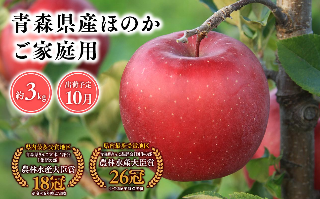 2025年産１０月発送　【訳あり】家庭用ほのか3ｋｇ　【そと川りんご園・１０月・青森県産・平川市・りんご・ほのか・3ｋｇ・訳あり・家庭用】