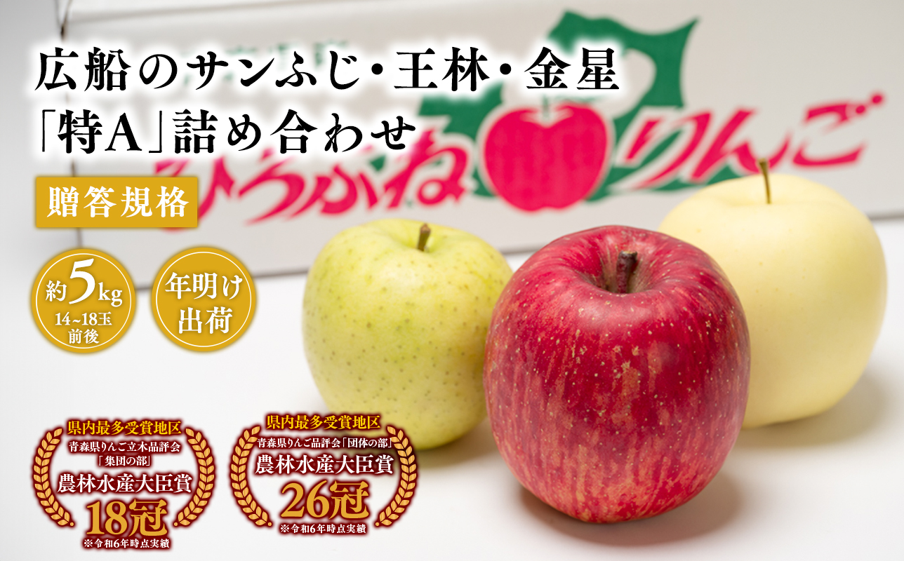 年明け 贈答規格 広船のサンふじ　王林　金星約5kg詰合せ「特A」【広船アップルクラブ　平川市広船産　青森りんご　1月　2月】