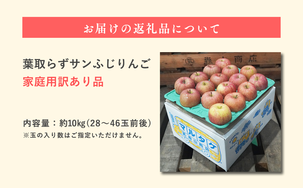 3月 訳あり 家庭用葉取らずサンふじりんご 約10kg【森山商店・青森県産・青森りんご・3月】