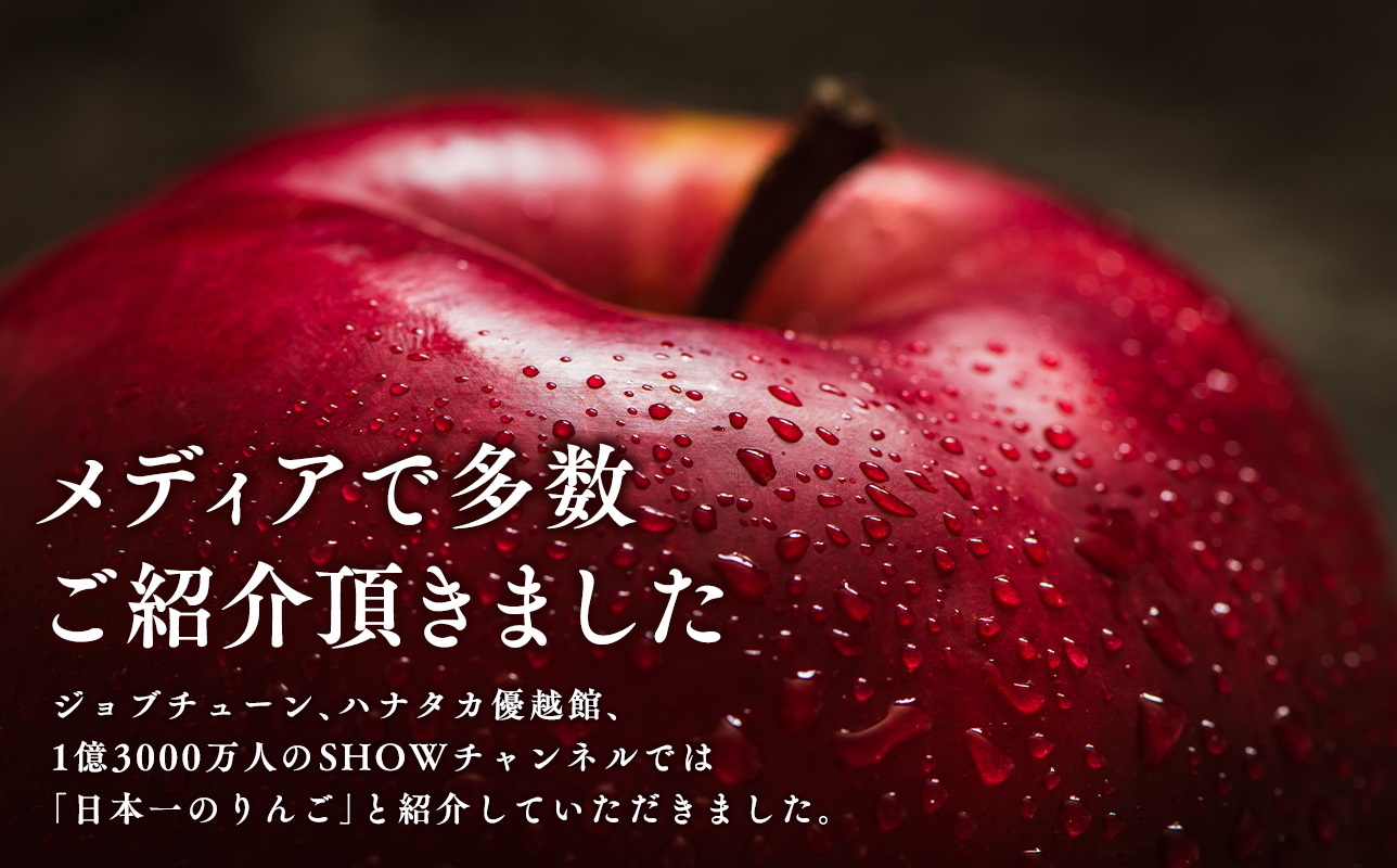 【1月発送】 親子三代最高位のサンふじ約5kg【全国ふじコンテスト最高賞受賞農園・平川市広船産りんご】