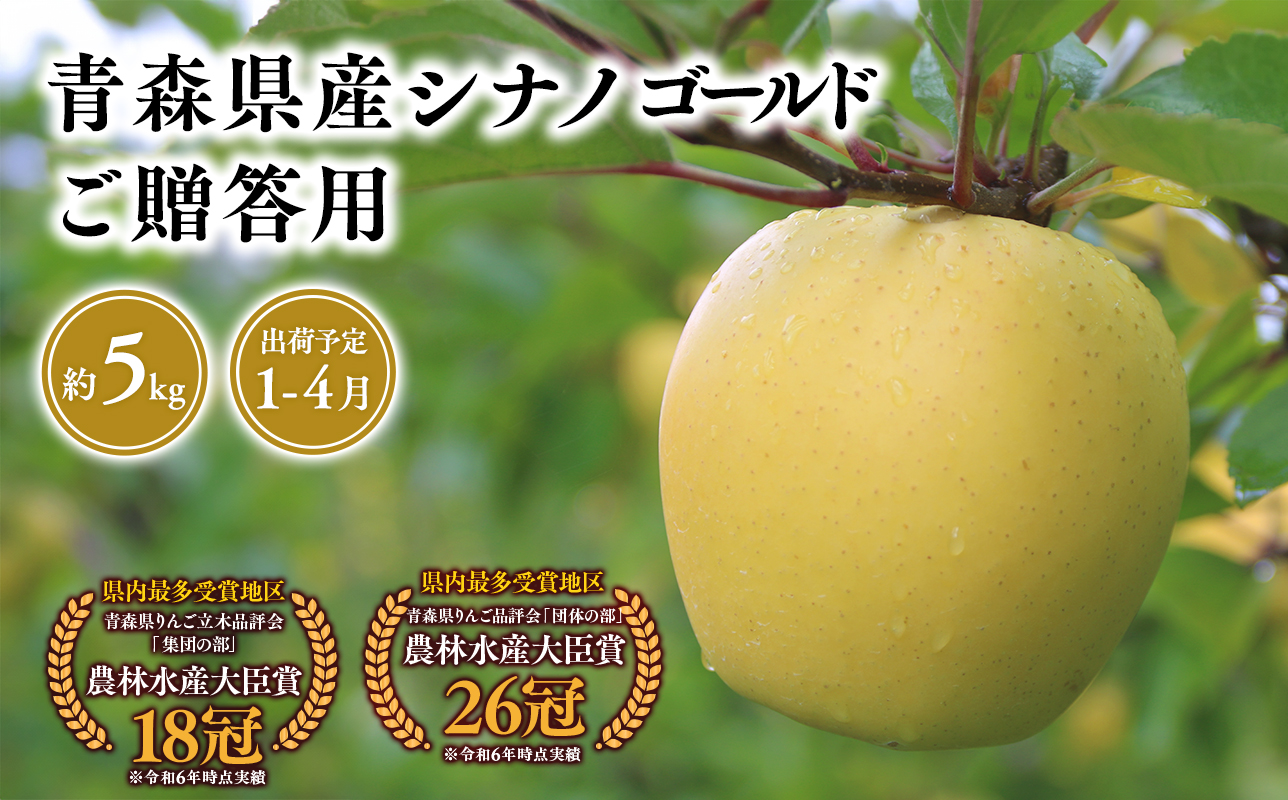2025年産 １月〜４月発送　贈答用シナノゴールド5ｋｇ　【そと川りんご園・１月・２月・３月・４月・青森県産・平川市・りんご・シナノゴールド・5ｋｇ・贈答用】