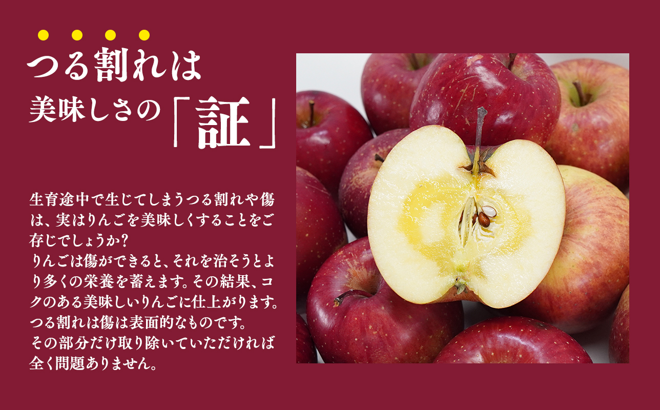 4月発送【訳あり】家庭用サンふじ約3kg【原田青果】りんご 林檎 リンゴ 果物 くだもの フルーツ 不揃い 規格外