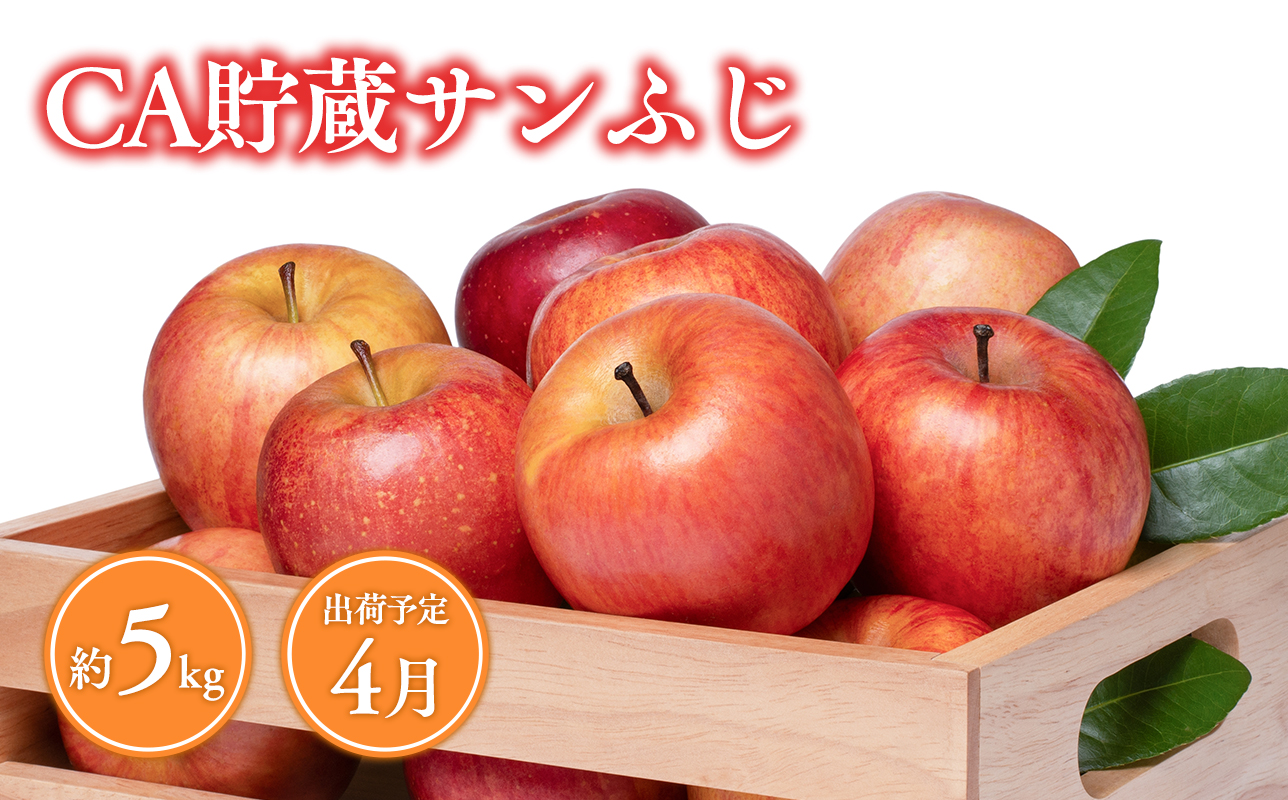 4月 CA貯蔵サンふじ 約5kg【青森県 平川市 森山商店 】