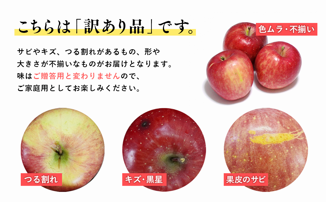 竕ェ12譛育匱騾 竕ォ100蟷エ縺ョ豁エ蜿イ 險ウ縺ゅj 螳カ蠎ュ逕ィ繧オ繝ウ縺オ縺 邏3kg縲千伐荳ュ霎イ蝨 髱呈」ョ繧翫s縺 蟷ウ蟾晏クら肇縲