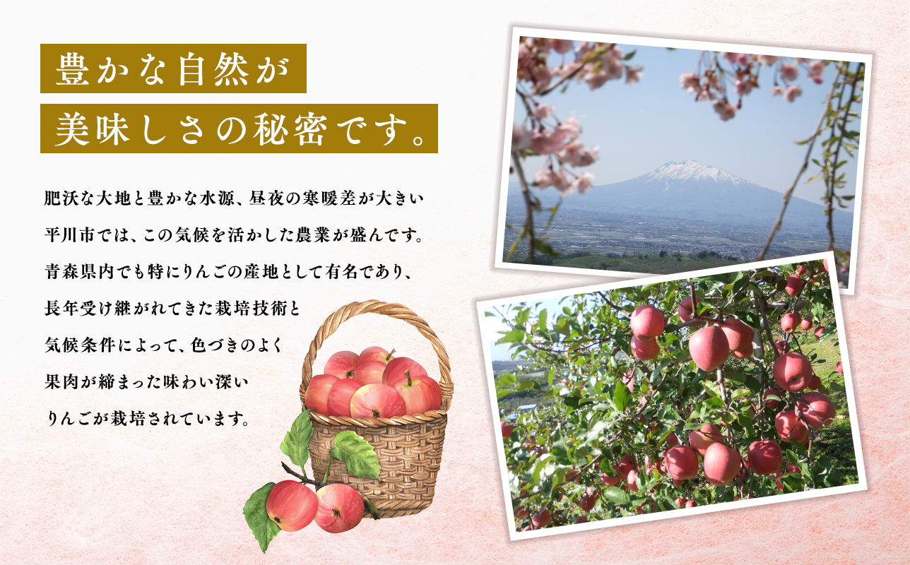 1月 サンふじ約3kg 糖度13度以上 【平川市・森山商店】 