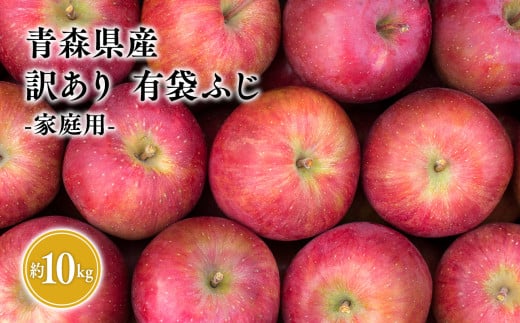 ２０２５年４月〜６月　発送【訳あり】家庭用有袋ふじ約10kg【有袋ふじ・りんご・青森・平川・訳あり・家庭用・原田青果・４月・５月・６月・10kg】