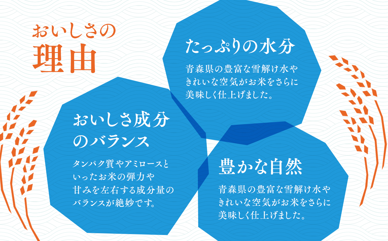 令和7年産 はれわたり10kg