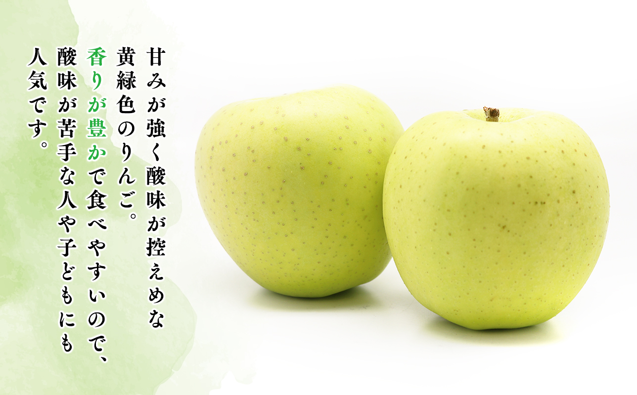 ≪令和8年産先行受付≫家庭用王林約5kg【青森県 平川市 山内ファーム】家庭用 平川市産 青森りんご りんご リンゴ 林檎 完熟 おうりん オウリン お取り寄せ 先行予約 果物 くだもの フルーツ 