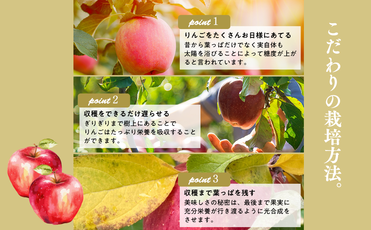 葉とらずりんごジュース  1Lｘ4本＆ピクトグラム柄コースター４枚セット 【青森県 平川市 岩渕農園】